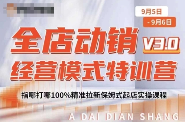 全店动销经营模式特训营，指哪打哪100%精准拉新保姆式起店实操课程 - 163资源网-163资源网