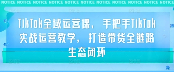 TikTok全域运营课，手把手TikTok实战运营教学，打造带货全链路生态闭环 - 163资源网-163资源网