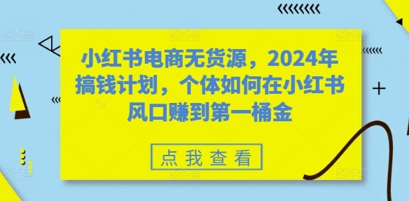 小红书电商无货源，2024年搞钱计划，个体如何在小红书风口赚到第一桶金 - 163资源网-163资源网