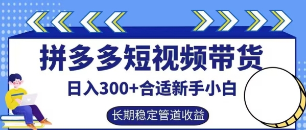 拼多多短视频带货日入300+有长期稳定被动收益，合适新手小白【揭秘】 - 163资源网-163资源网