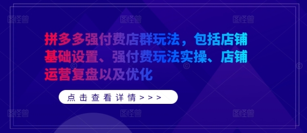 拼多多强付费店群玩法，包括店铺基础设置、强付费玩法实操、店铺运营复盘以及优化 - 163资源网-163资源网