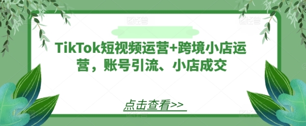 TikTok短视频运营+跨境小店运营，账号引流、小店成交 - 163资源网-163资源网