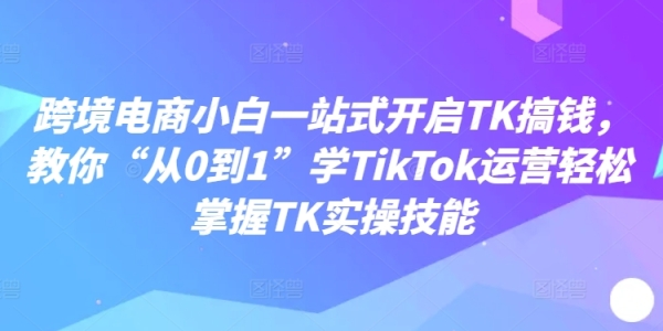 跨境电商小白一站式开启TK搞钱，教你“从0到1”学TikTok运营轻松掌握TK实操技能 - 163资源网-163资源网