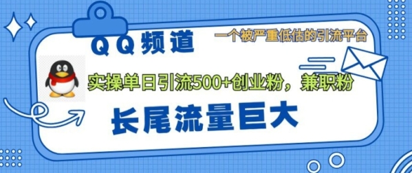 QQ频道靠长尾流量每日引流创业粉500+，实操月变现5K+ - 163资源网-163资源网