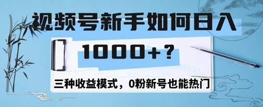 视频号新手如何日入1k？三种收益模式，0粉新号也能热门 - 163资源网-163资源网