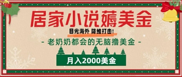 居家小说薅美金，拆解海外撸美金项目月入2000美刀详细指导 - 163资源网-163资源网