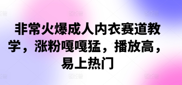 非常火爆成人内衣赛道教学，​涨粉嘎嘎猛，播放高，易上热门 - 163资源网-163资源网