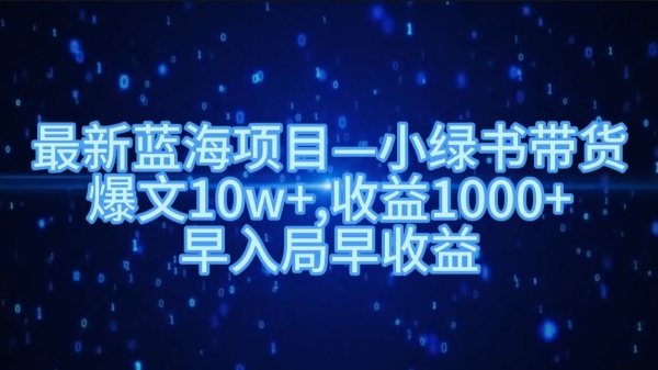 最新蓝海项目小绿书带货，爆文10w+，收益1000+，早入局早获益 - 163资源网-163资源网