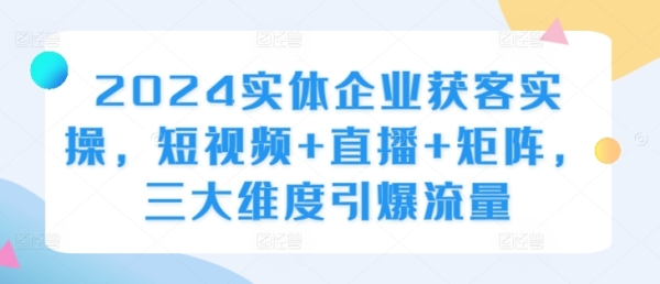 2024实体企业获客实操，短视频+直播+矩阵，三大维度引爆流量 - 163资源网-163资源网