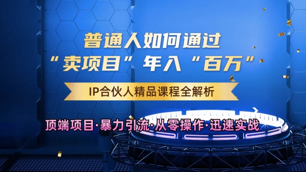 2024年如何通过知识付费“卖项目”年入“百W”，卖项目合伙人IP孵化训练营 - 163资源网-163资源网