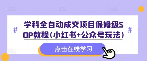 学科全自动成交项目保姆级SOP教程(小红书+公众号玩法)含资料 - 163资源网-163资源网