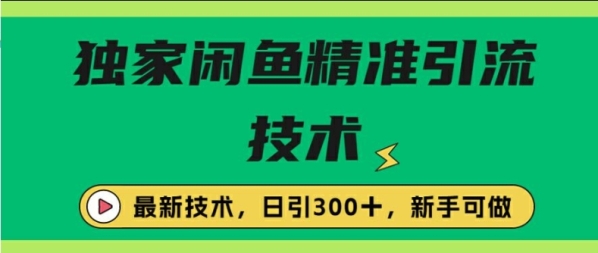 闭鱼精准引流，日引300+创业粉保姆级教程，新手可做 - 163资源网-163资源网