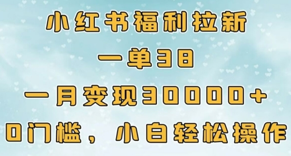 小红书福利拉新，一单38，一月3000+轻轻松松，0门槛小白轻松操作 - 163资源网-163资源网