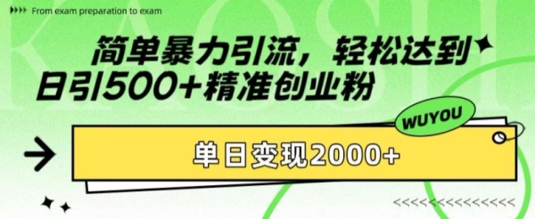 简单暴力引流，轻松达到日引500+精准创业粉，单日变现2k【揭秘】 - 163资源网-163资源网