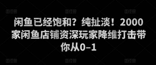 闲鱼已经饱和？纯扯淡！2000家闲鱼店铺资深玩家降维打击带你从0–1 - 163资源网-163资源网