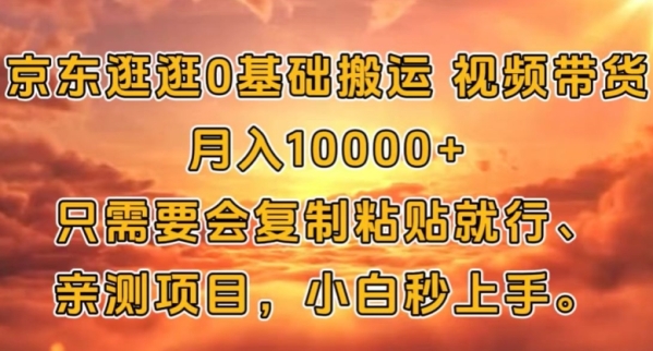 京东逛逛0基础搬运视频带货【赚佣金】月入1w - 163资源网-163资源网