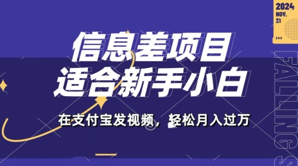 信息差项目，支付宝生活号，利用老外开盲盒视频，一周起号，新手小白也能月入过万 - 163资源网-163资源网