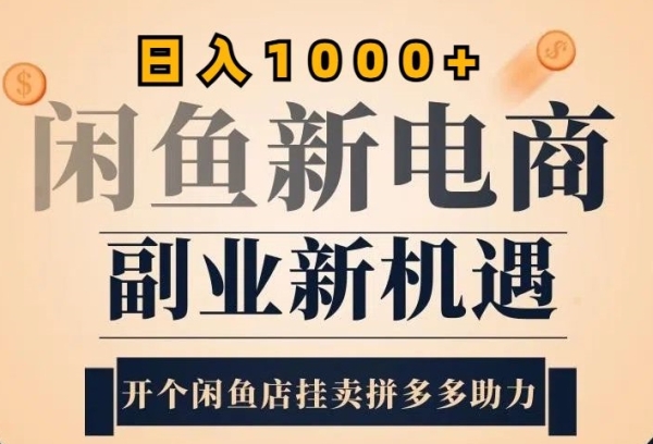 2024闲鱼虚拟升级玩法，实操落地项目，日入几张 - 163资源网-163资源网