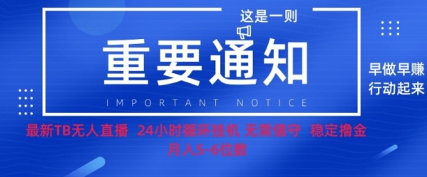 双11淘宝撸金项目–无人挂JI带货，无需值守，稳定捞金，月入5位数 - 163资源网-163资源网