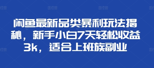 闲鱼最新品类暴利玩法揭秘，新手小白7天轻松收益3k，适合上班族副业 - 163资源网-163资源网