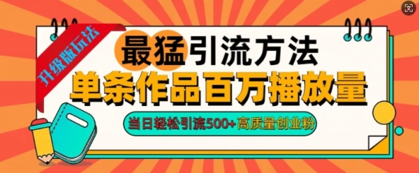 2024年最猛引流方法单条作品百万播放量，当日轻松引流500+，高质量创业粉 - 163资源网-163资源网