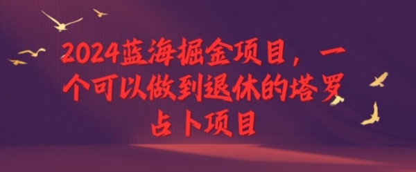 2024蓝海掘金项目，一个可以做到退休的塔罗占卜项目 - 163资源网-163资源网