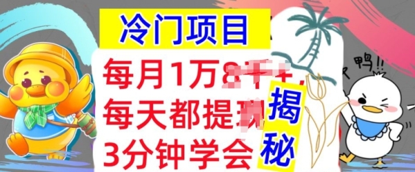 冷门项目，这个方法一定要学会，内部教程，每月1w(揭秘) - 163资源网-163资源网