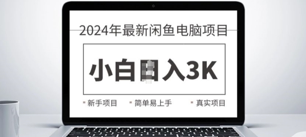 2024最新闲鱼电脑项目，动手就能吃肉的好项目 - 163资源网-163资源网