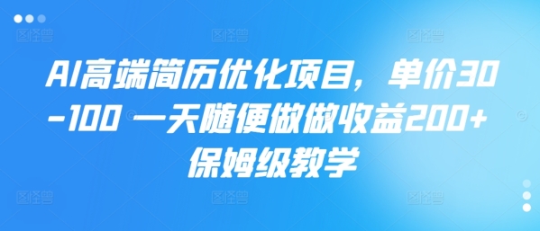 AI高端简历优化项目，单价30-100 一天随便做做收益200+ 保姆级教学 - 163资源网-163资源网