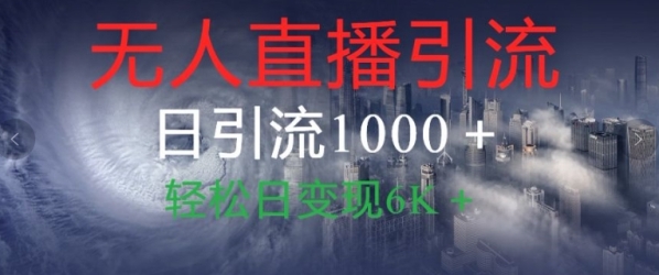 抖音快手视频号全平台无人直播引流1000+精准创业粉玩法拆解 - 163资源网-163资源网