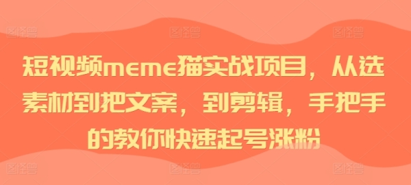 短视频meme猫实战项目，从选素材到把文案，到剪辑，手把手的教你快速起号涨粉 - 163资源网-163资源网