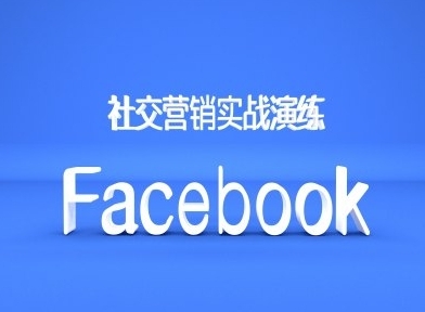 Facebook社交营销实战演练，外贸人绝对不能错过的营销推广平台 - 163资源网-163资源网