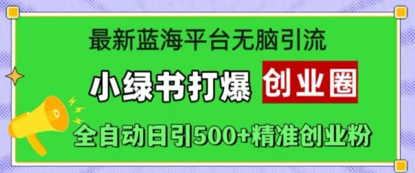 最新蓝海平台无脑引流，小绿书打爆创业圈，全自动日引500+精准创业粉 - 163资源网-163资源网