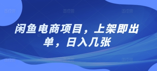 闲鱼电商项目，上架即出单，日入几张 - 163资源网-163资源网