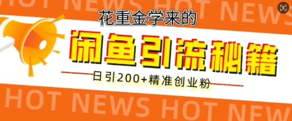 花重金学来的闲鱼到流秘籍，日引200+精准创业粉 - 163资源网-163资源网