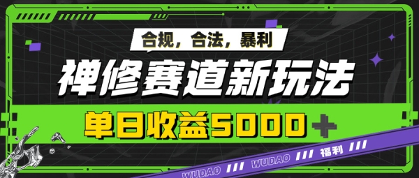 暴利禅修赛道新玩法，合规合法，单日收益5k - 163资源网-163资源网