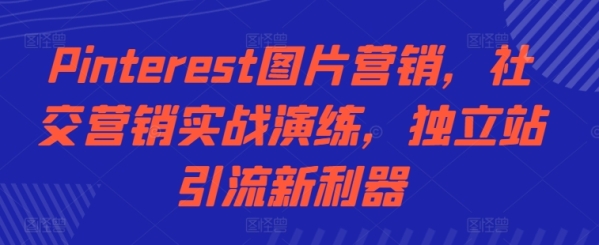 Pinterest图片营销，社交营销实战演练，独立站引流新利器 - 163资源网-163资源网