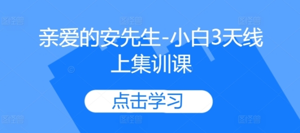 亲爱的安先生-小白3天线上集训课 - 163资源网-163资源网