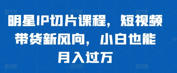 明星IP切片课程，短视频带货新风向，小白也能月入过万 - 163资源网-163资源网