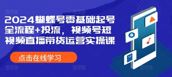 2024蝴蝶号零基础起号全流程+投流，视频号短视频直播带货运营实操课 - 163资源网-163资源网