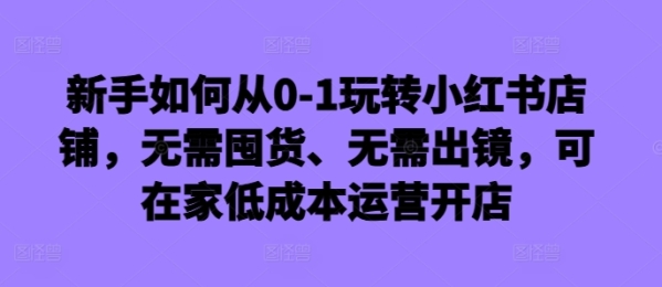 新手如何从0-1玩转小红书店铺，无需囤货、无需出镜，可在家低成本运营开店 - 163资源网-163资源网