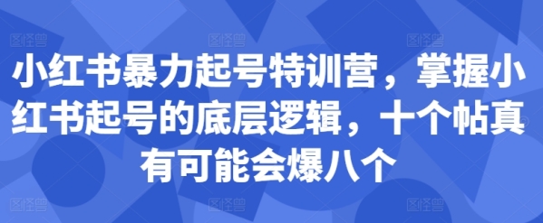 小红书暴力起号特训营，掌握小红书起号的底层逻辑，十个帖真有可能会爆八个 - 163资源网-163资源网