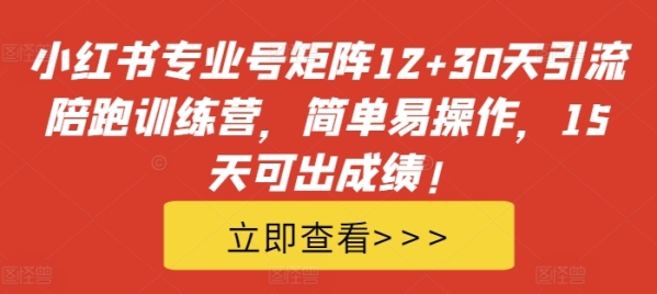 小红书专业号矩阵12+30天引流陪跑训练营，简单易操作，15天可出成绩! - 163资源网-163资源网