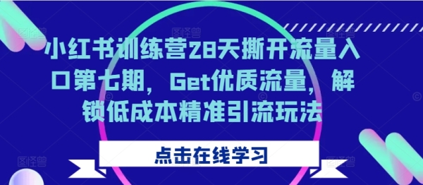 小红书训练营28天撕开流量入口第七期，Get优质流量，解锁低成本精准引流玩法 - 163资源网-163资源网