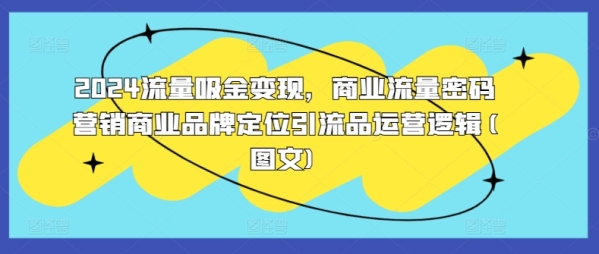 2024流量吸金变现，商业流量密码营销商业品牌定位引流品运营逻辑(图文) - 163资源网-163资源网