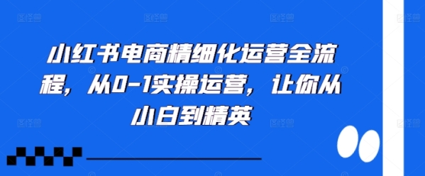 小红书电商精细化运营全流程，从0-1实操运营，让你从小白到精英 - 163资源网-163资源网