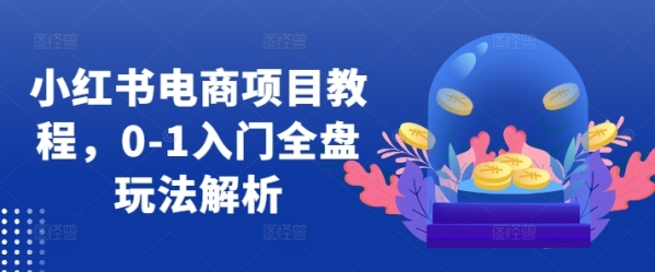 小红书电商项目教程，0-1入门全盘玩法解析 - 163资源网-163资源网