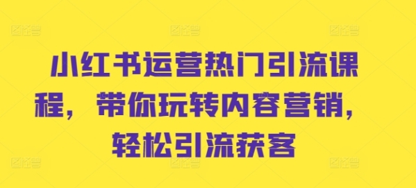 小红书运营热门引流课程，带你玩转内容营销，轻松引流获客 - 163资源网-163资源网