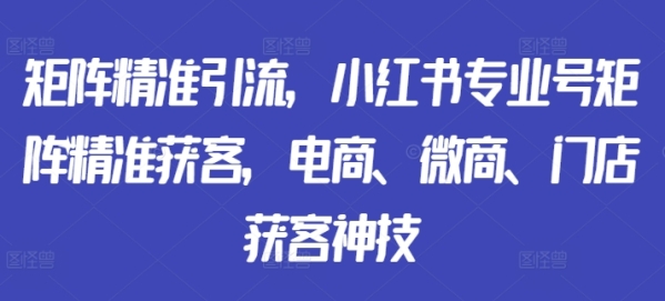 矩阵精准引流，小红书专业号矩阵精准获客，电商、微商、门店获客神技 - 163资源网-163资源网