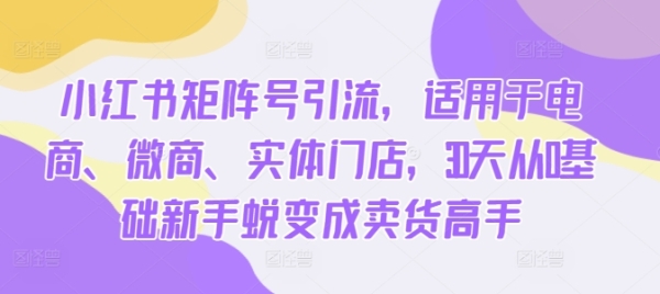 小红书矩阵号引流，适用于电商、微商、实体门店，30天从0基础新手蜕变成卖货高手 - 163资源网-163资源网